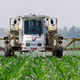 Image for article titled Should We Freak Out That a Common Herbicide Is "Probably Carcinogenic?"